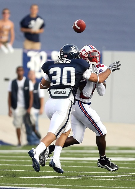 他将自己的 他将自己的